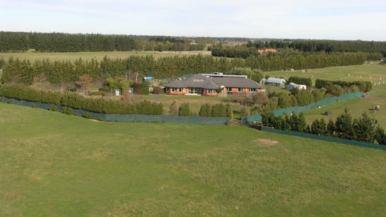 516250_3.jpg