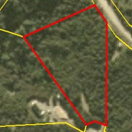 516264_3.jpg