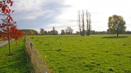 516408_1.jpg