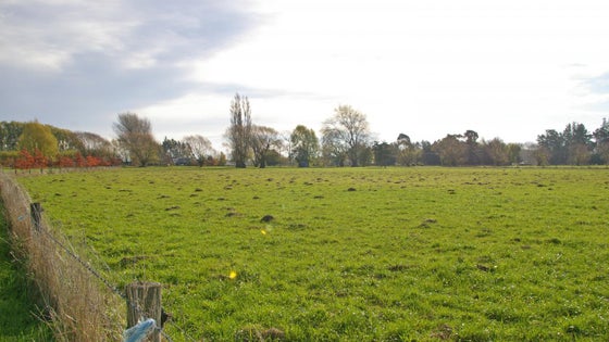 516408_3.jpg