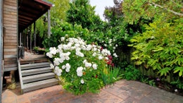 516593_1.jpg