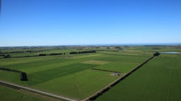 516942_1.jpg