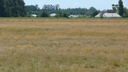 517151_1.jpg