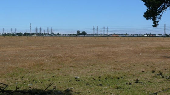 517151_2.jpg