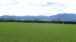 518484_1.jpg