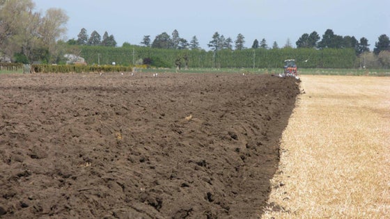 518638_2.jpg