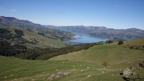 Rural Price Indication NZ$975,000 + GST: 342 Okains Bay Road, Robinsons ...