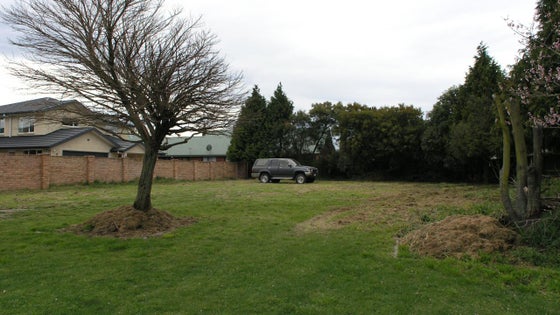 518712_3.jpg