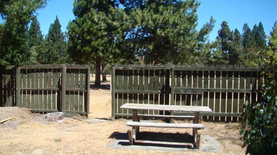 519377_3.jpg