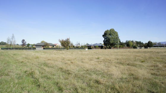 519988_3.jpg