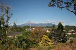 520955_1.jpg