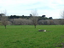 521004_1.jpg