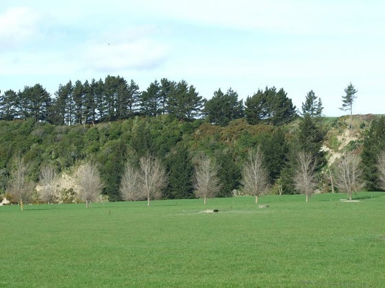 521004_2.jpg