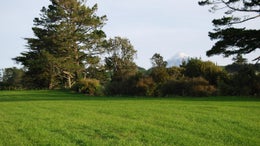 521153_1.jpg