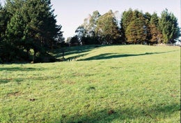 521207_1.jpg
