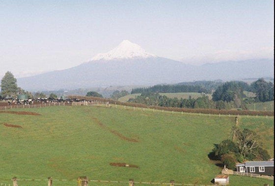 521207_3.jpg