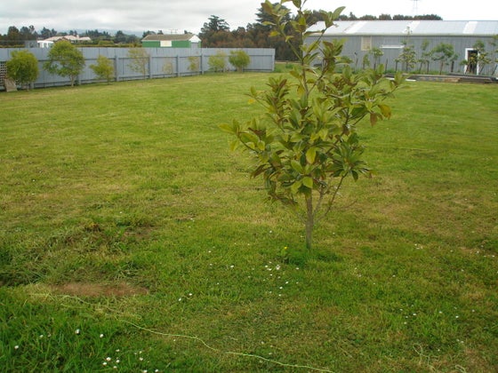 521748_3.jpg