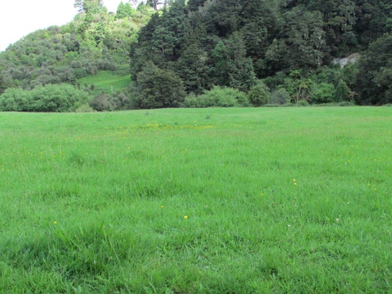 522336_3.jpg