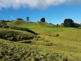 522379_1.jpg