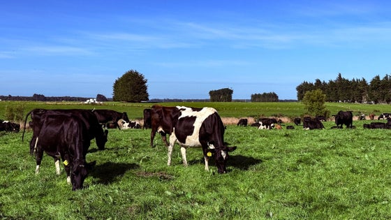 5303070_3.jpg