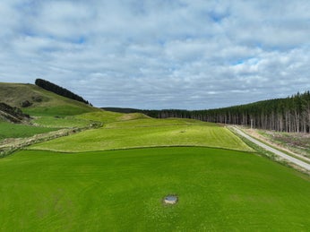 5303114_1.jpg