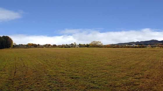 550054_3.jpg