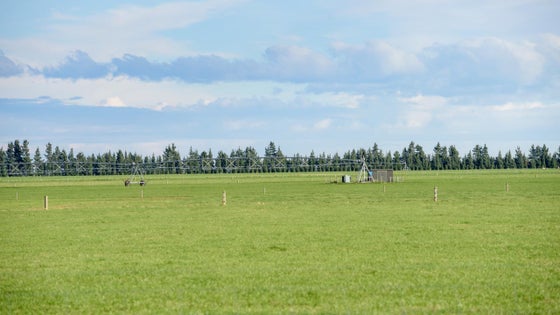 5510600_2.jpg