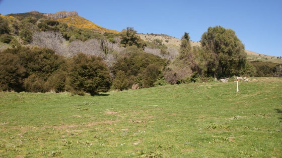 5511050_3.jpg