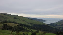 5511134_1.jpg