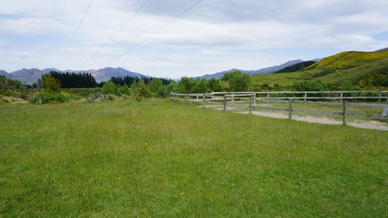 5511307_3.jpg