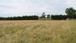 5511515_1.jpg