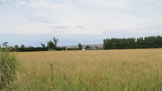 5511515_3.jpg