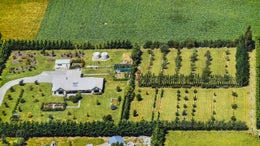 5511528_1.jpg