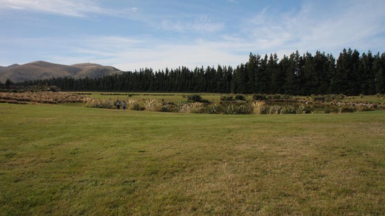 5511903_3.jpg