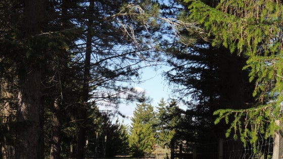 551195_2.jpg