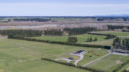 5513151_1.jpg