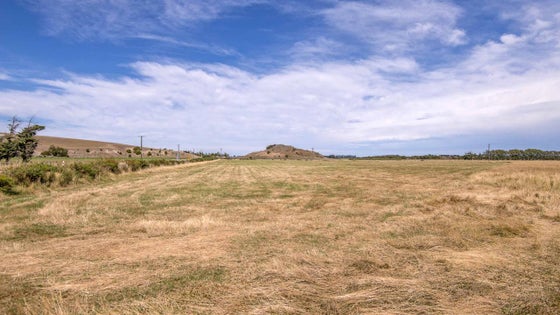 5514622_3.jpg