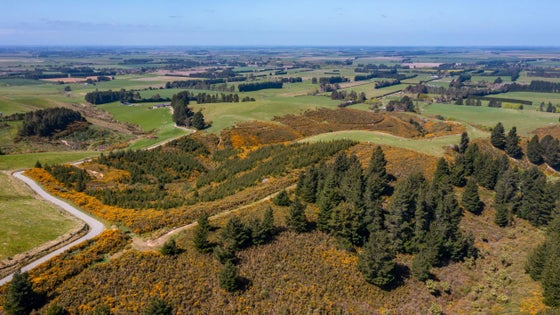 5514645_3.jpg