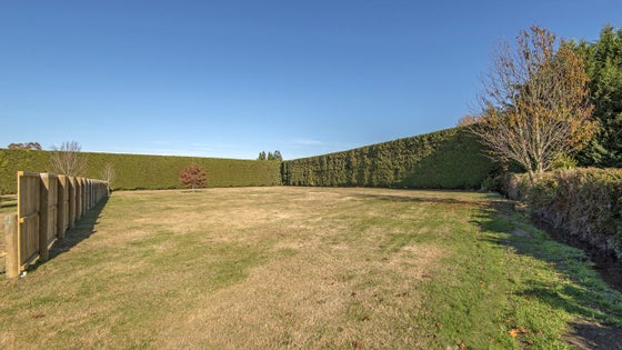 5515310_3.jpg