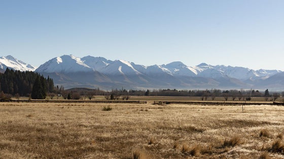 5515647_3.jpg