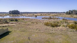 5516344_1.jpg