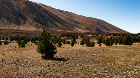 5516361_2.jpg