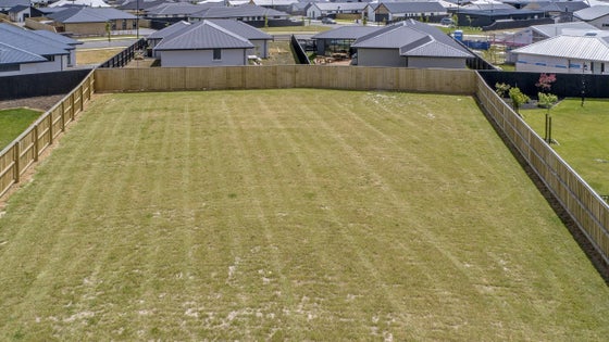5518001_3.jpg