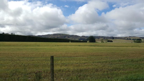 551834_3.jpg