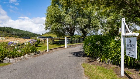 5520533_1.jpg