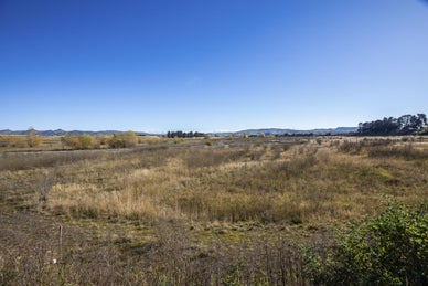 5526419_1.jpg