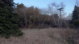 552808_1.jpg