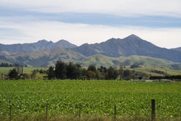 5530116_1.jpg
