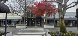5530827_1.jpg