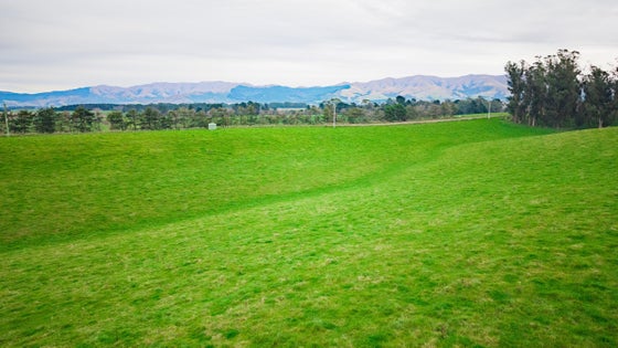 5531197_3.jpg